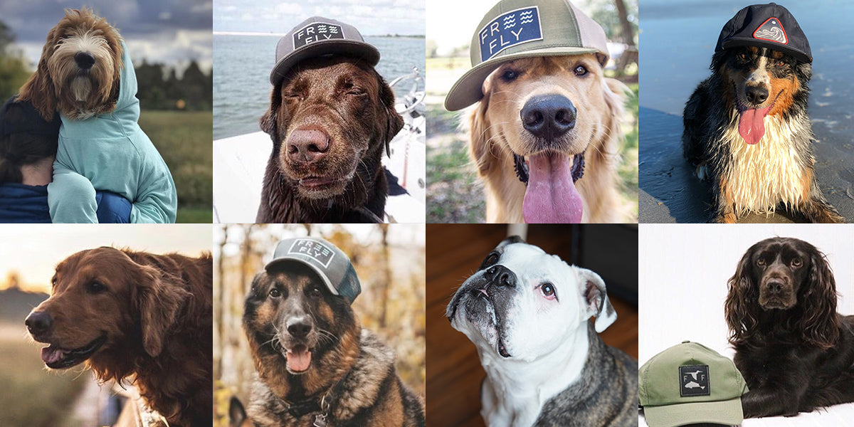 The Fur Fly Club