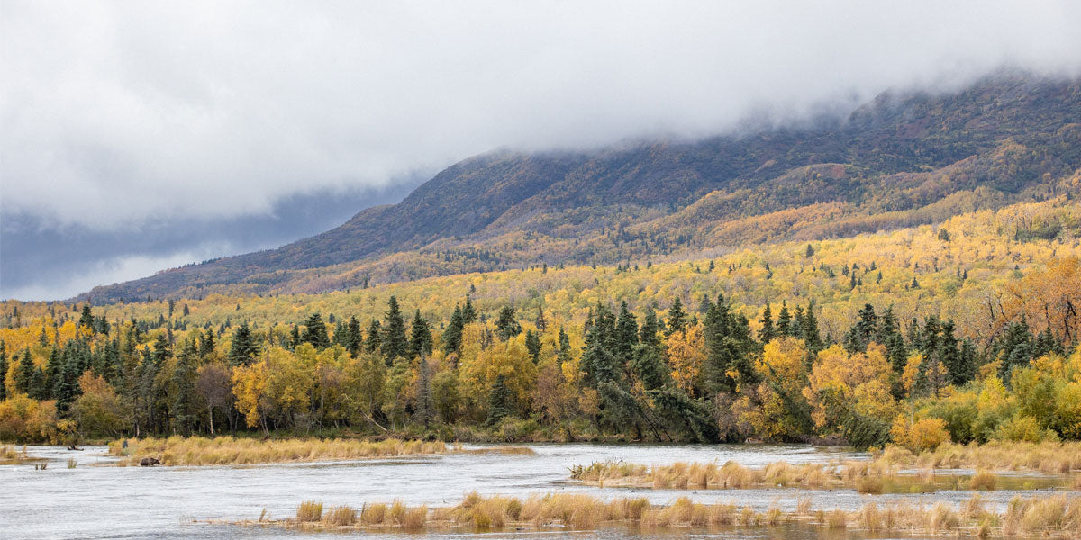 King Salmon, Alaska & Katmai Trophy Lodge in Photos
