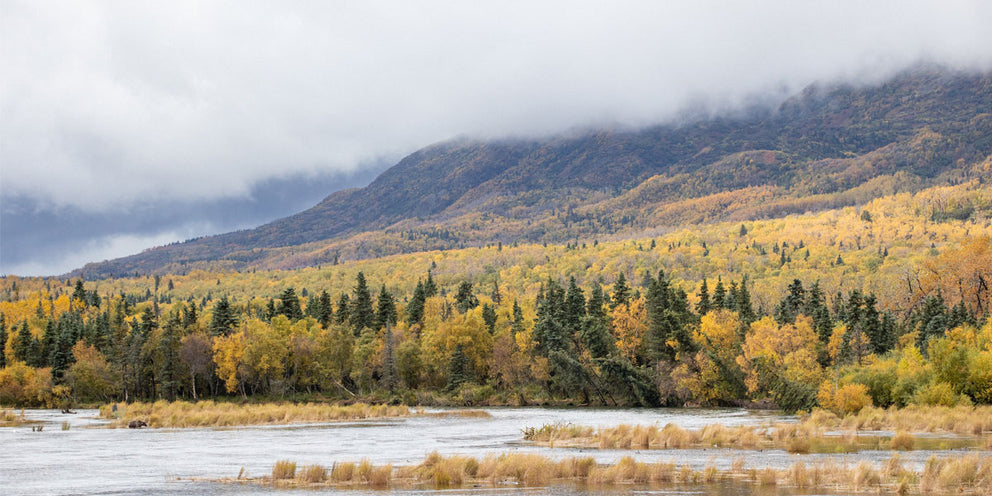 King Salmon, Alaska & Katmai Trophy Lodge in Photos
