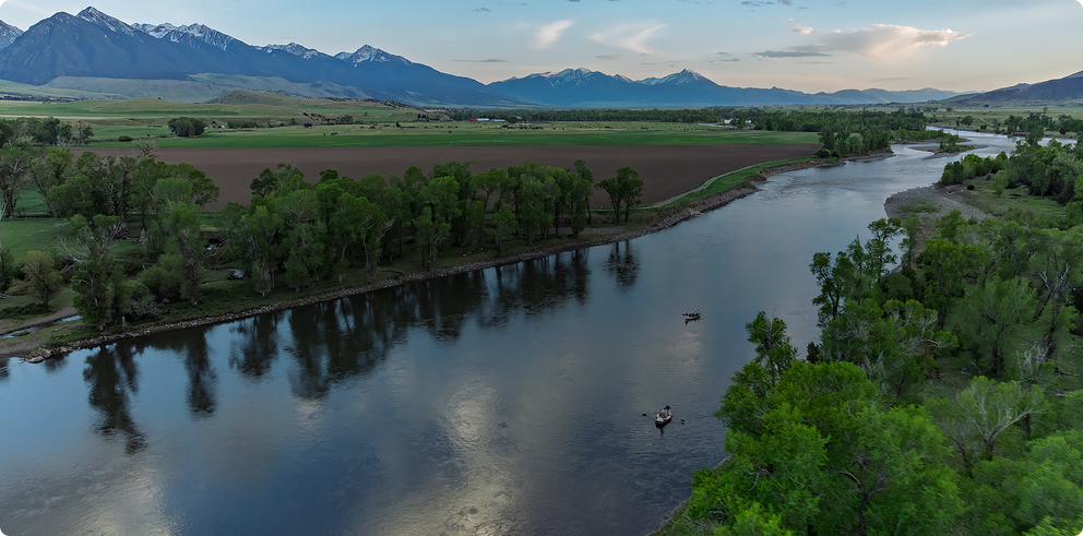 Free Fly x Trout Unlimited
